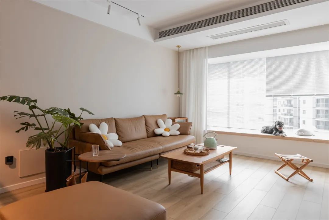 用自然療愈生活，淺談疫情時代「寶藏異形戶の自我修養(yǎng)」