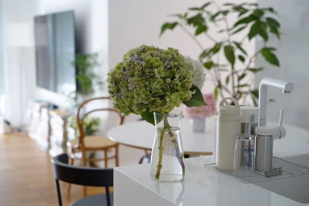 毛坯裝修，全靠生活方式，這套亂中有序隨性之家我給滿分