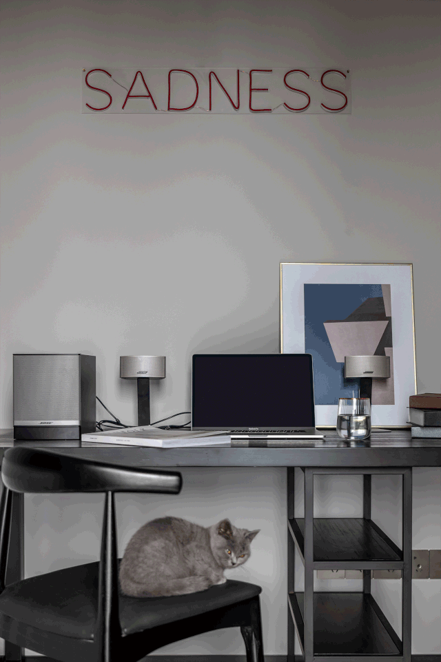 1人1貓隨心住，豐盈黑白簡約，潮酷boyの雅痞居