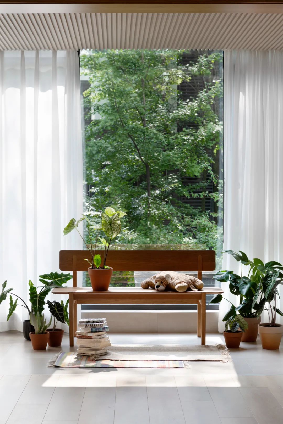 「歸隱」夫妻的都市“陋室”，慵懶原木藏書閣，宅不夠！