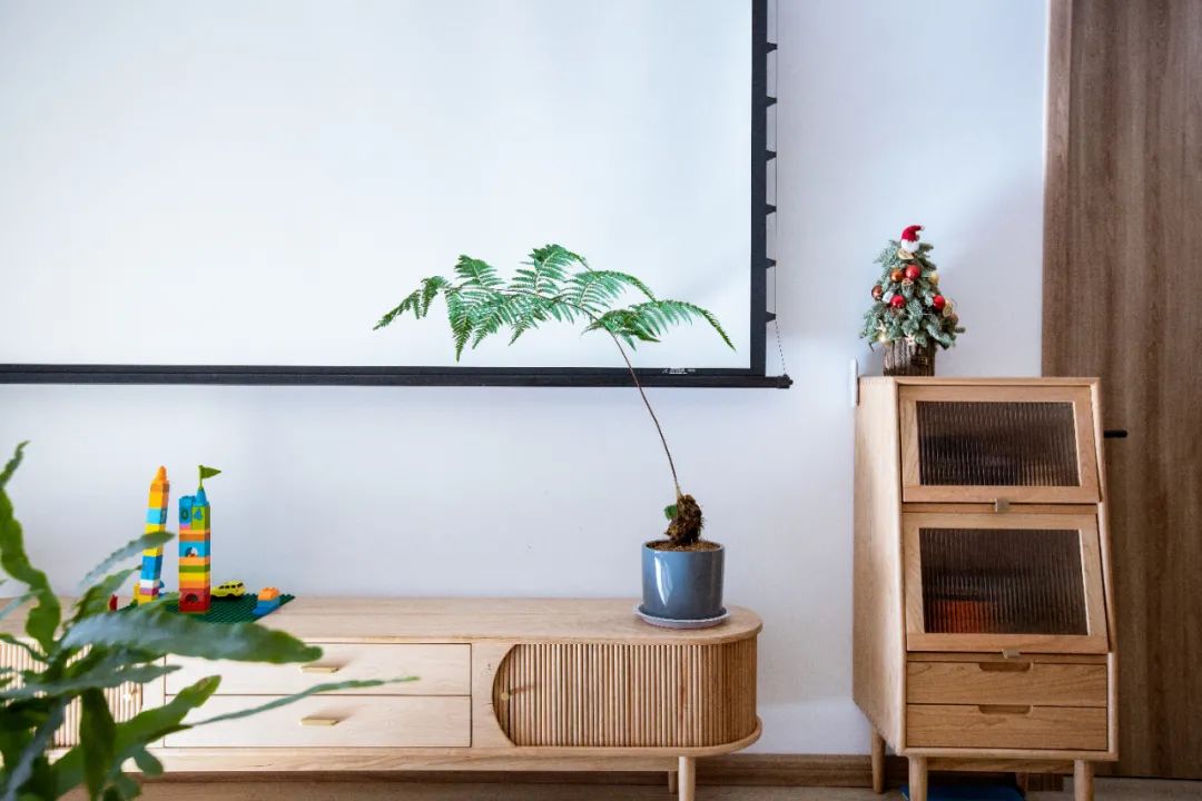 她家客廳坐擁“圖書館+影院”，三代人完轉(zhuǎn)超治愈生活	