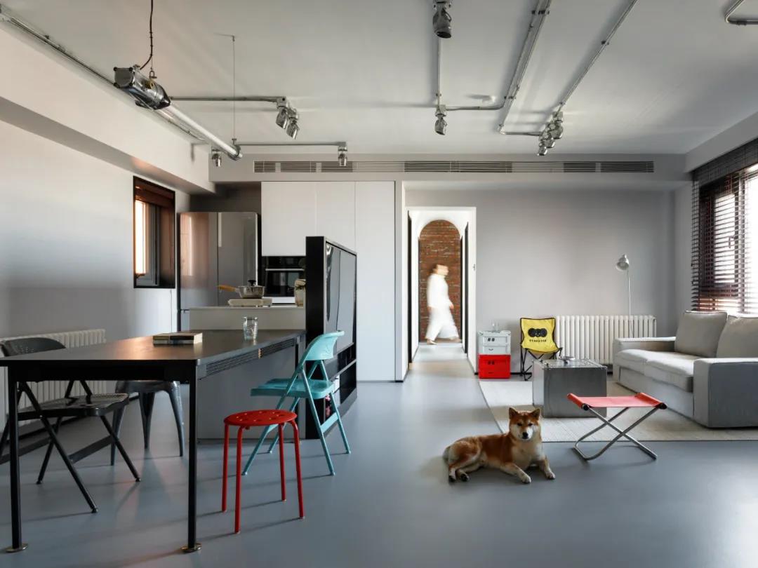 兩人一狗“斷舍離”，給生活做減法，拒絕emo! 