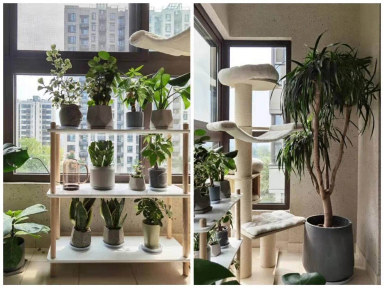 拯救中國(guó)式高飽和度老房，2022建議學(xué)學(xué)她家溫柔風(fēng)	