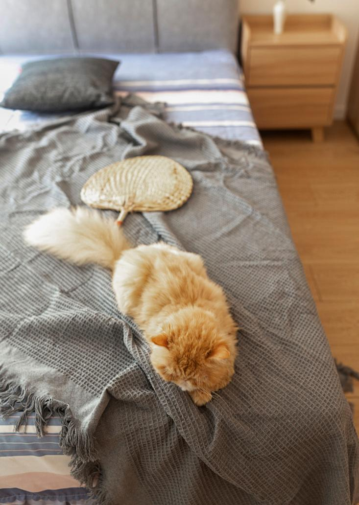 「退休生活」送爸媽90㎡日式暖宅，N處細(xì)節(jié)讓人看紅眼眶