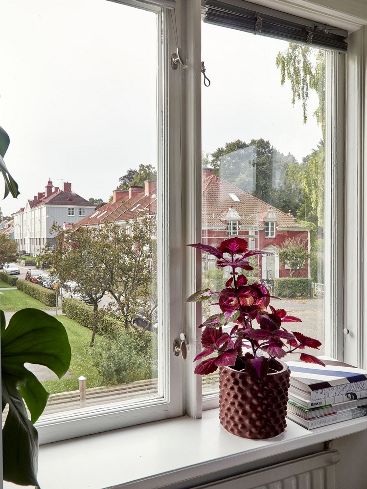 現(xiàn)在的95后，都住的這么「leisurely」嗎？看完表示真香~	