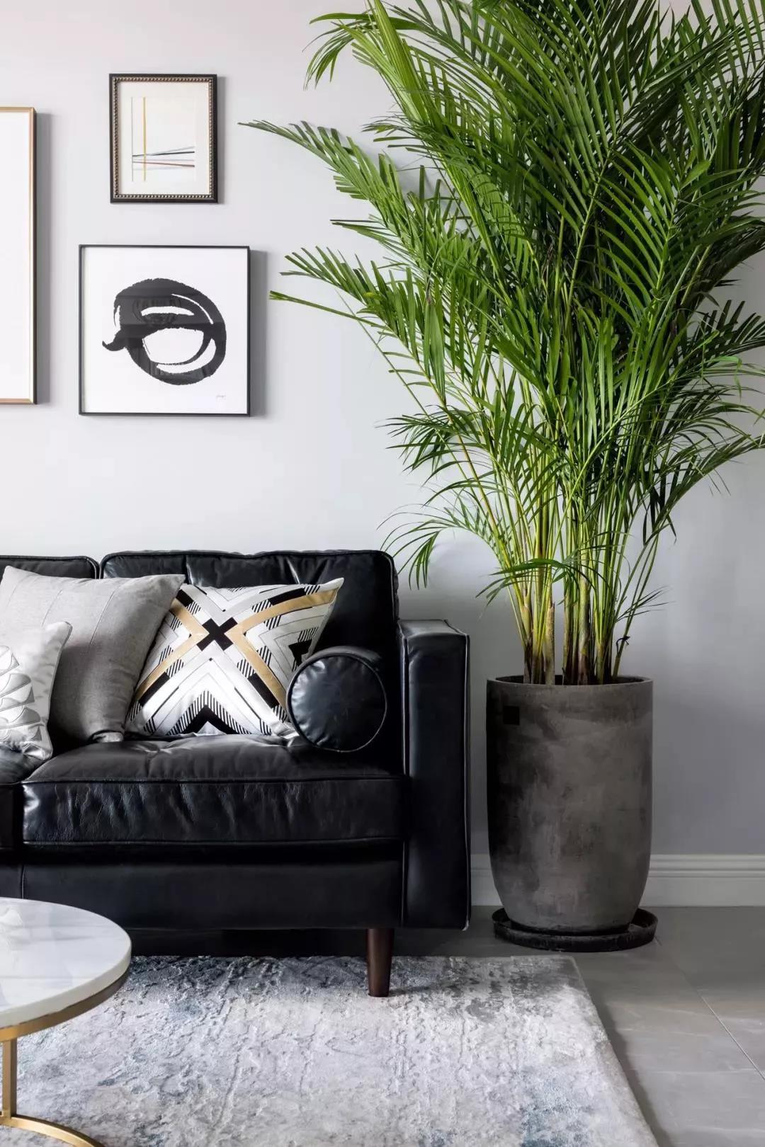 花園陽臺+閱讀式客廳 新晉奶爸13萬實現(xiàn)妻子輕奢美式夢