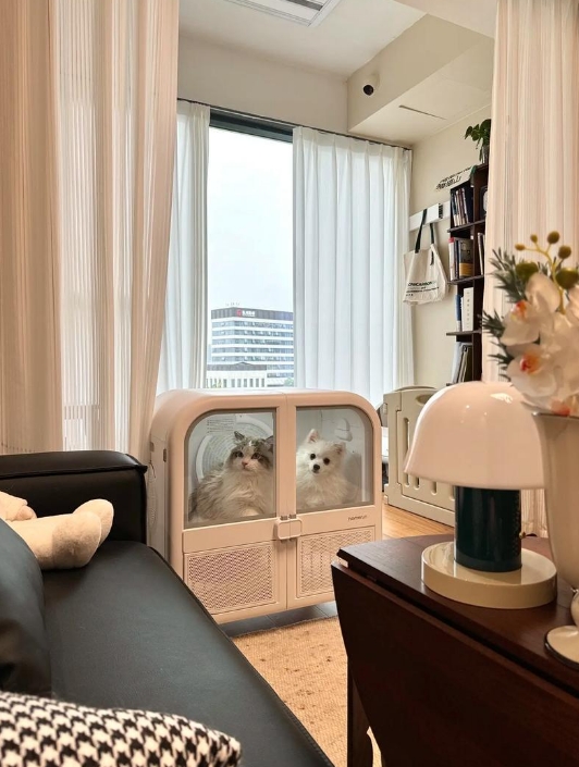 裝修全包后怎樣保養(yǎng)水泥地面?掌握幾個小技巧!